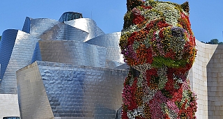 Descubriendo Euskadi