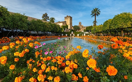 El patrimonio histórico de Córdoba_27