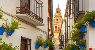 Road trip through the Mediterranean and Levante: history, sea and southern essence