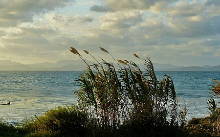 Sur de España