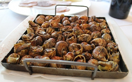The gastronomy of Catalonia: Mediterranean tradition, creativity and a cuisine with its own identity_79