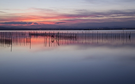 What to Do in the Valencian Community in 7 Days_116