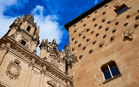 What to See in Salamanca_89