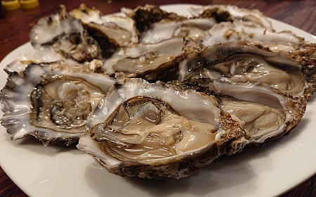 Where to Eat on Your Route through Galicia_65